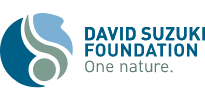 David Suzuki Foundation